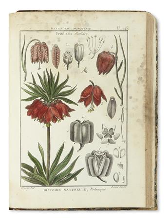 (BOTANICAL.) Diderot, Denis; and Jean le Rond dAlembert.